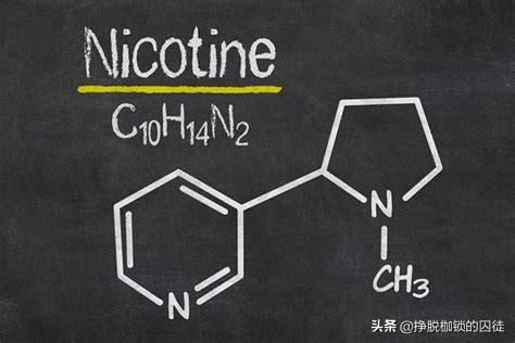 电子烟有没有尼古丁_电子烟有尼古丁能戒烟_有尼古丁的电子烟会上瘾吗