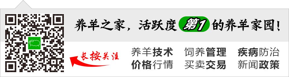 日本电子烟iqos哪个烟好抽_最好抽的外烟_电子烟比真烟好抽