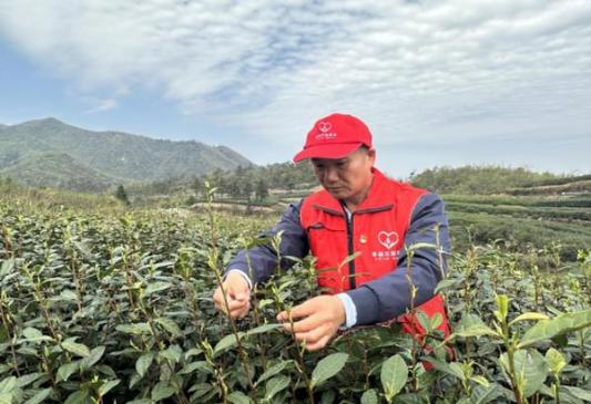 外烟批发全国货到付款_香烟批发到付_烟在批发环节征收消费税吗