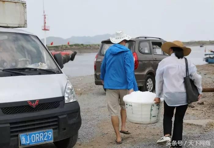 龙宫“淘宝”｜东海第一网海鲜的互联网之路  第2张