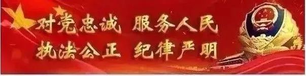 农民伪造证件冒名高官和将军被天长警方捉现行  第1张