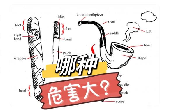 香烟里的助燃剂，真的那么可怕！？  第2张