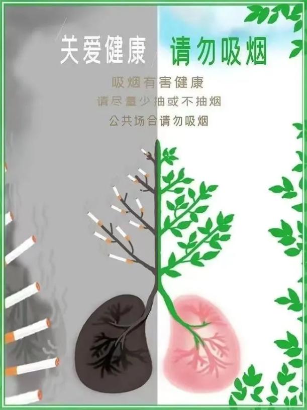 【健康科普】吸烟对身体的影响和危害  第2张