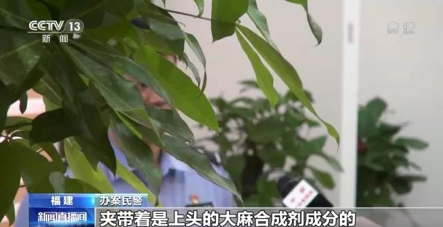 "上头"电子烟是毒不是烟！福建厦门警方破获一起跨省贩毒案  第11张