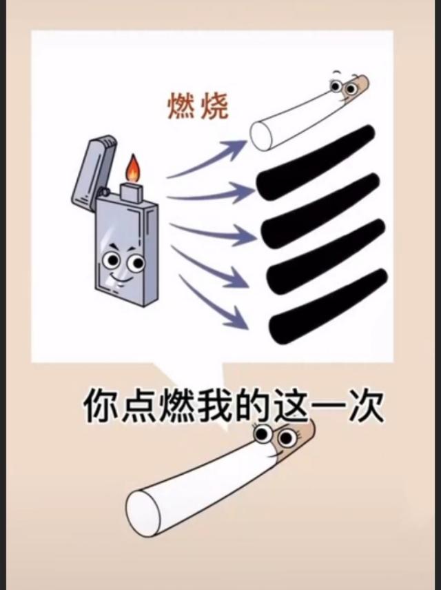 当香烟遇上火柴  第2张